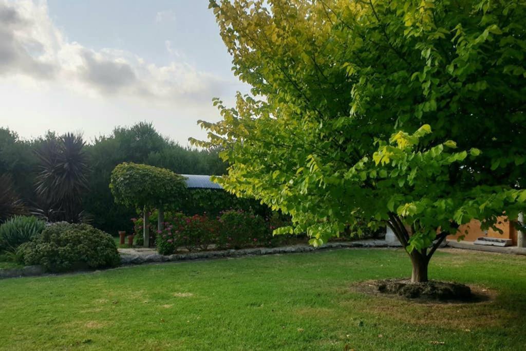 Bella Mia Tuscan Paradise Mount Gambier Kültér fotó