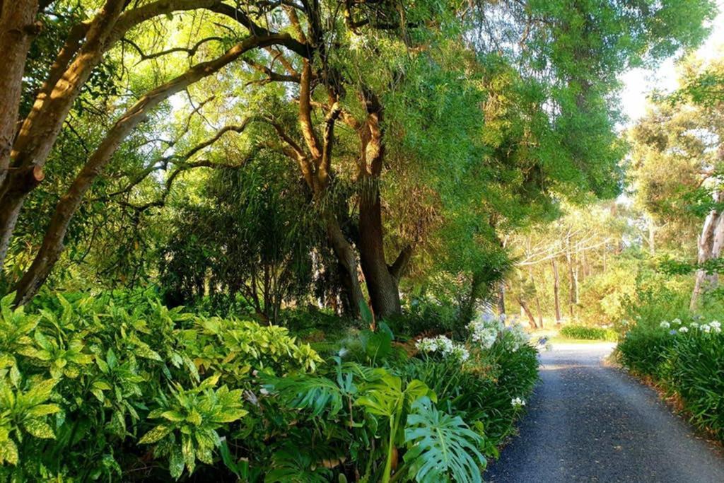 Bella Mia Tuscan Paradise Mount Gambier Kültér fotó